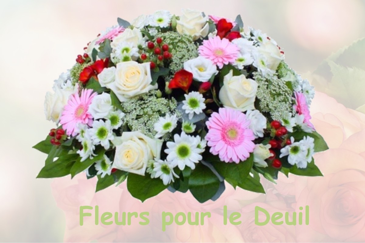 fleurs deuil SAINT-JEAN-DE-LA-MOTTE